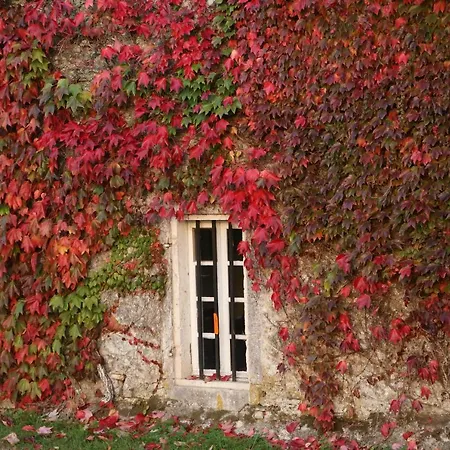 Chemin De Gargamelle * Ligueux (Gironde)